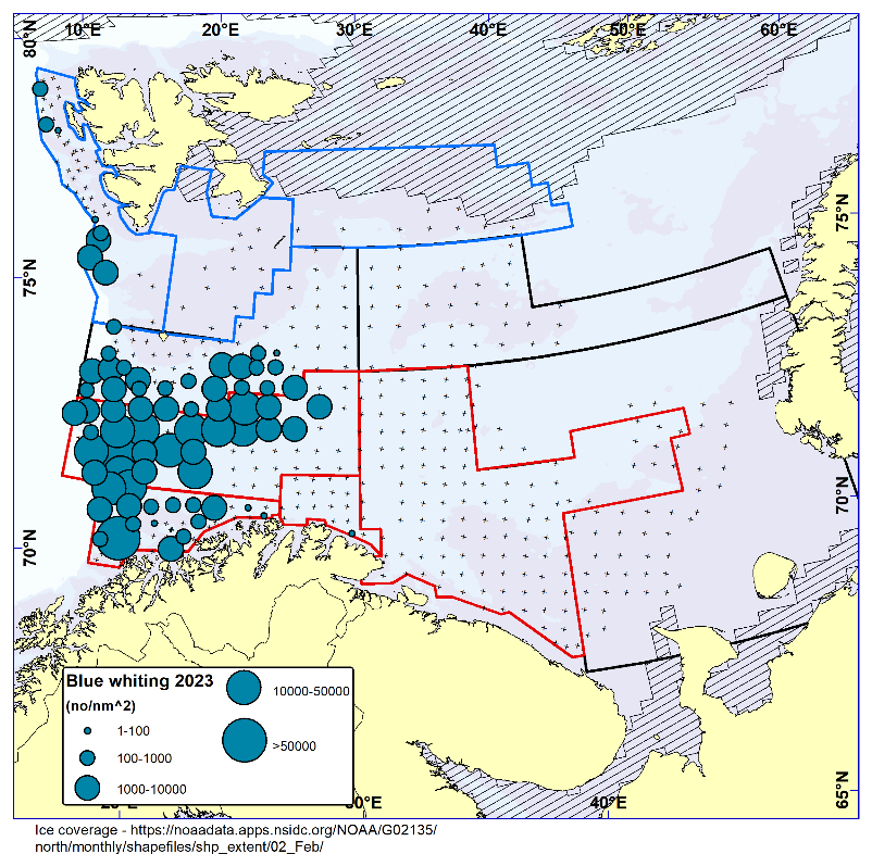 Figure 9.3.1 BLUE WHITING. Distribution in the trawl catches winter 2023 (number per nm2). Black crosses indicate zero catches and the shaded area the ice coverage early in the survey.
