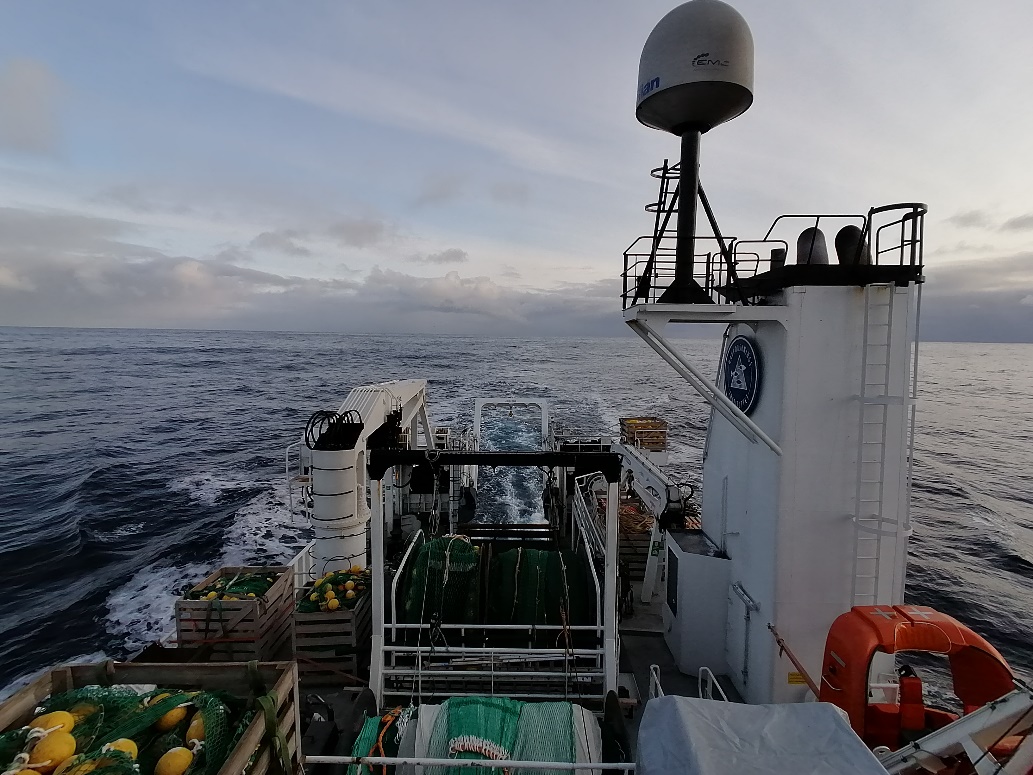R/V "Johan Hjort" at sea during the winter survey.