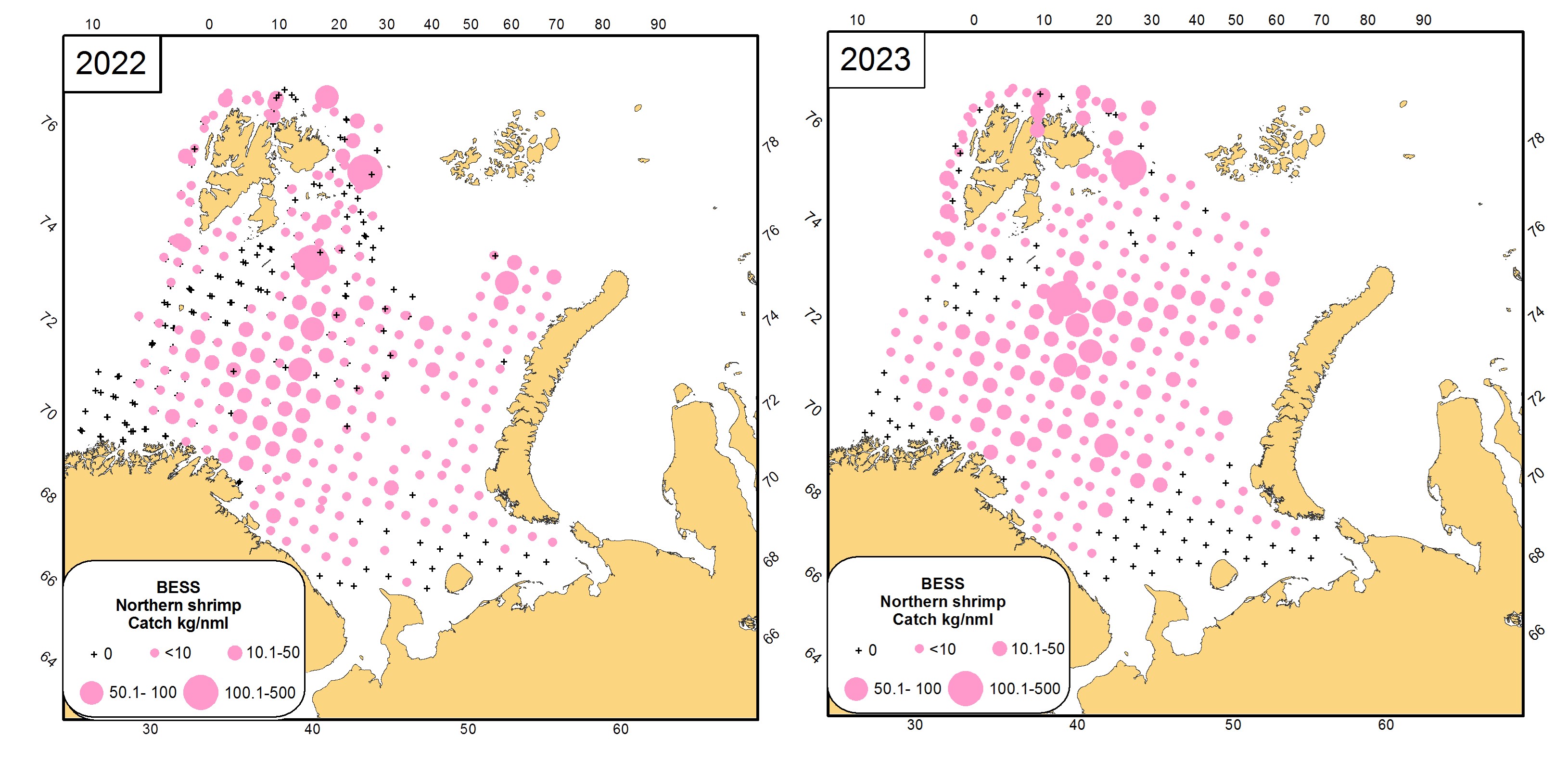 Figure 10.1.1 Distribution of the Northern shrimp (Pandalus borealis) in the Barents Sea, in the Barents Sea in August-September 2022-2023.