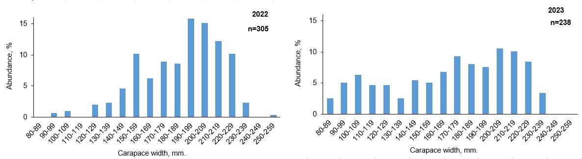 Figure 10.2.2 Length distribution of the red king crab in the Barents Sea in August-September 2022- 2023.