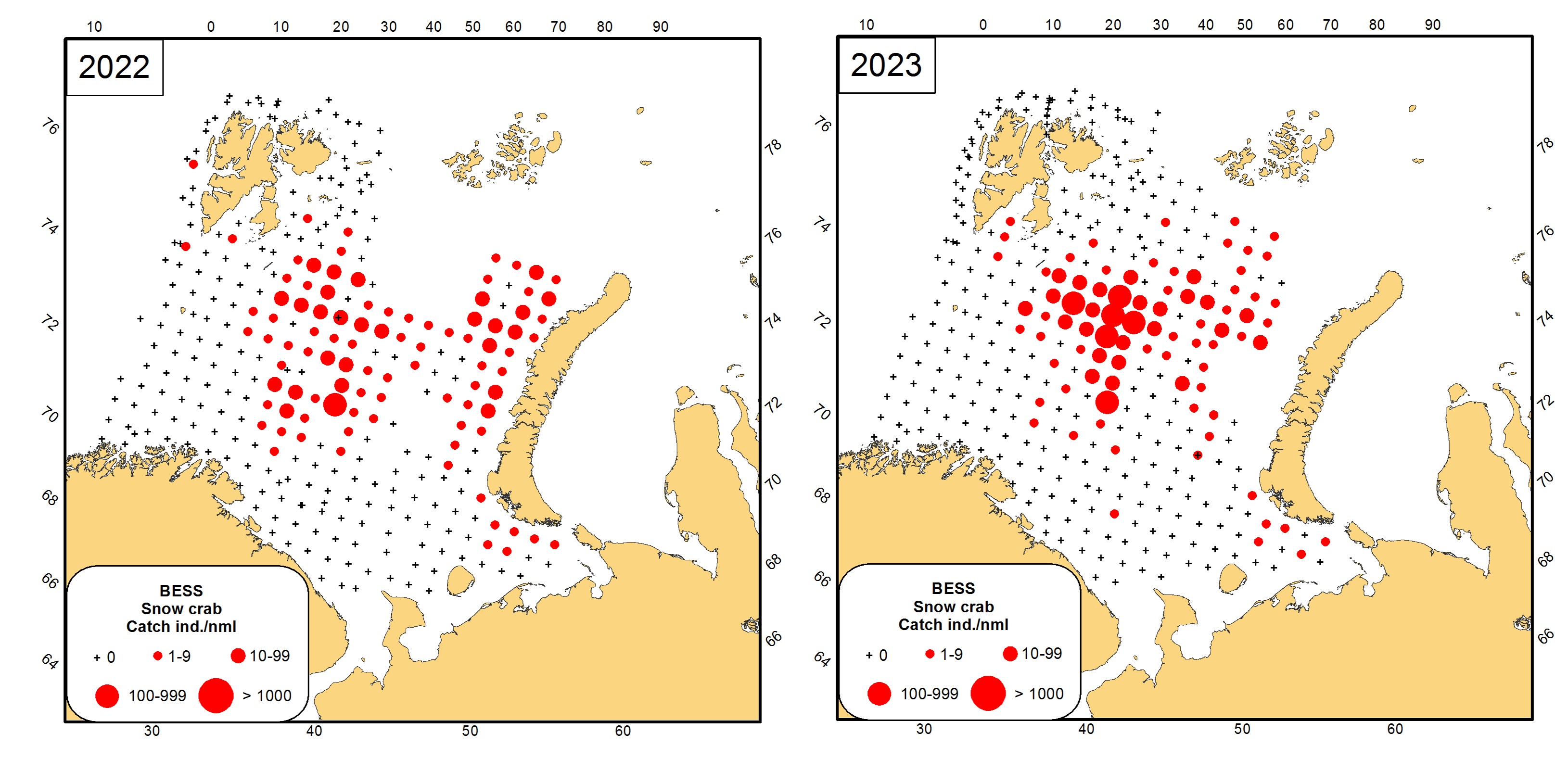Figure 10.3.1 Distribution of the snow crab (Chionoecetes opilio) in the Barents Sea in August-September 2022-2023.