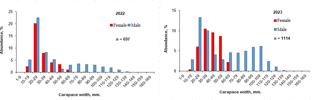 Figure 10.3.2 Size and sex structure of the snow crab in the Barents Sea in August-September 2022-2023.