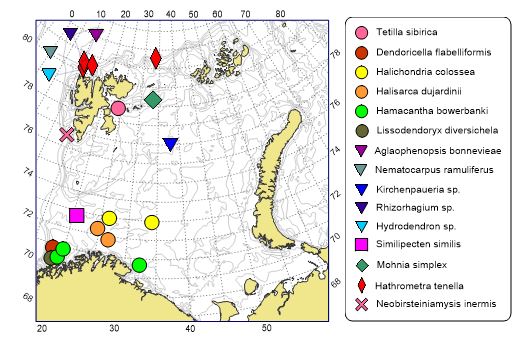 Figure 11.1.3 Sites of finding of megabenthic species that has been named for the first time in 2023 in the Barents Sea and adjacent water since the beginning of the BESS (year 2005). 