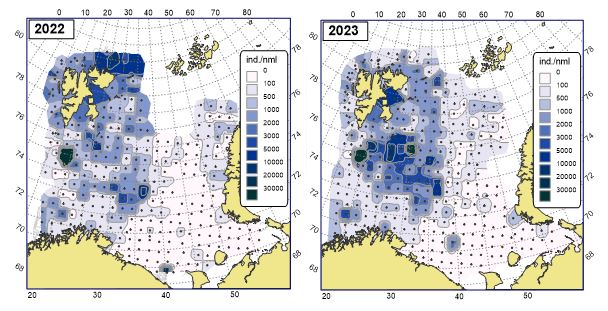 Figure 11.2.1 Abundance (ind./n.ml) of megabenthos (excluding Pandalus borealis) in the Barents Sea in August-September 2022 and 2023.