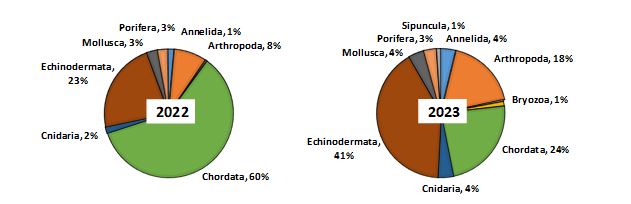 Figure 11.2.2 The distribution of abundance (excluding Pandalus borealis) across the main megabenthic groups (%) in the Barents Sea, August-September 2022 and 2023. The groups with number of individuals less than 1 % of total are not shown in the diagrams.