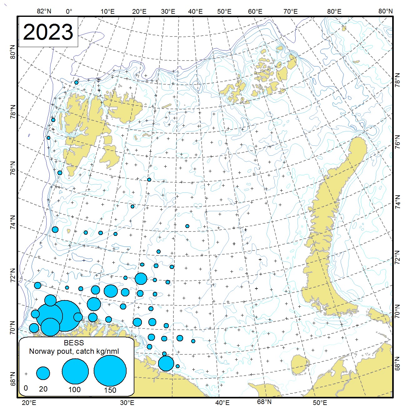 Figure 9.2.1 Distribution of Norway pout (Trisopterus esmarkii), August-September 2023