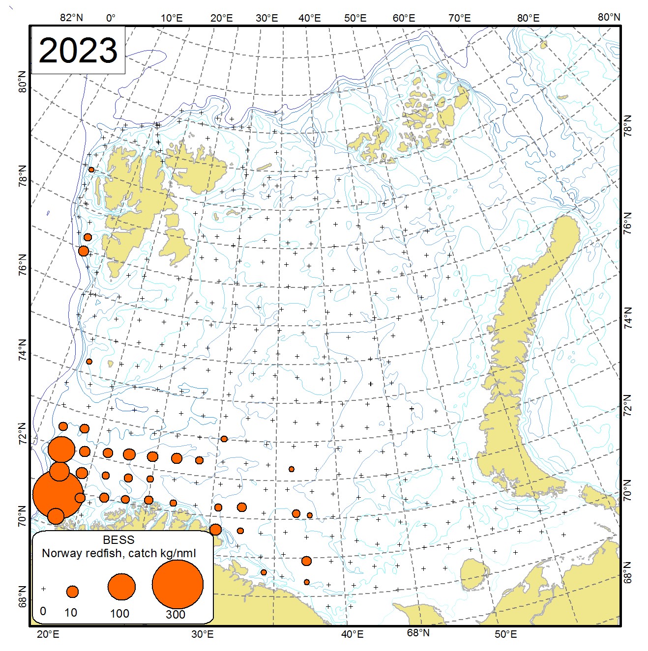 Figure 9.2.2 Distribution of Norway redfish (Sebastes viviparus), August-September 2023