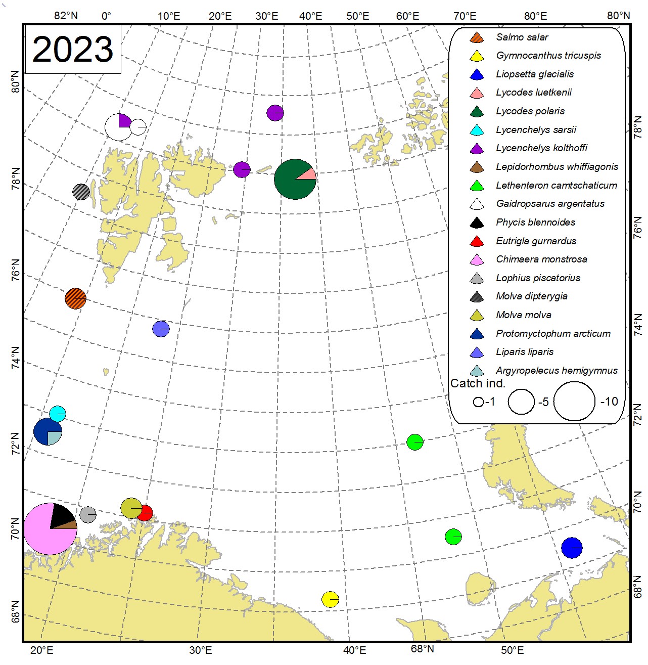Figure 9.3.1 Distribution of rare and uncommon fish species in the Barents Sea in August-September 2023. The size of circles corresponds to total abundance (individuals per trawl station, both pelagic and bottom trawl stations were used, both pelagic and demersal species are included