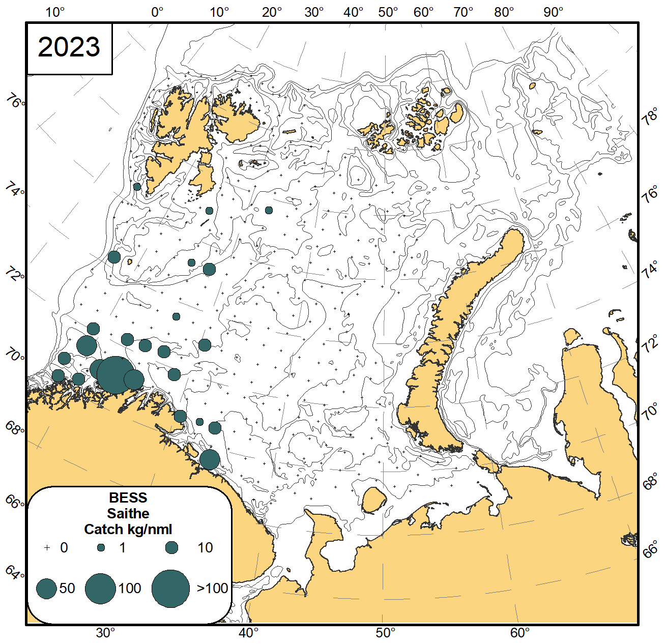 Figure 8.3 Distribution of saithe (Pollachius virens)), August-November 2023. 