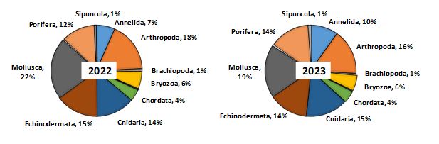 Figure 11.1.1 The number of taxa given as the % distribution among megabenthic phyla in the Barents Sea, August-September 2022 and 2023. The groups with the number of taxa less than 1 % are not shown in the diagrams.