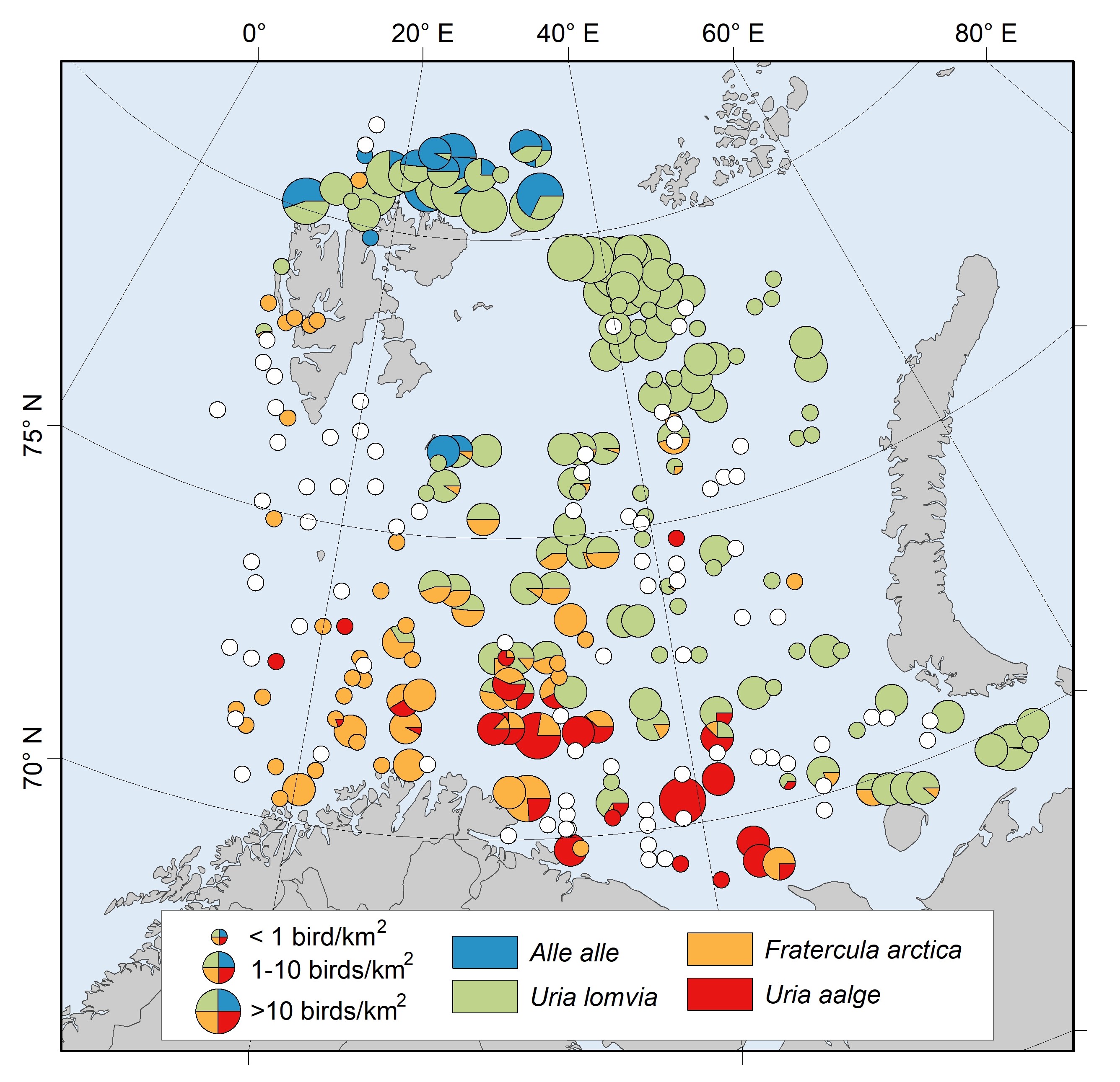 Figure 12.2.1. Density of auk species along seabird transects in 2023. White-filled circles are zero density. 