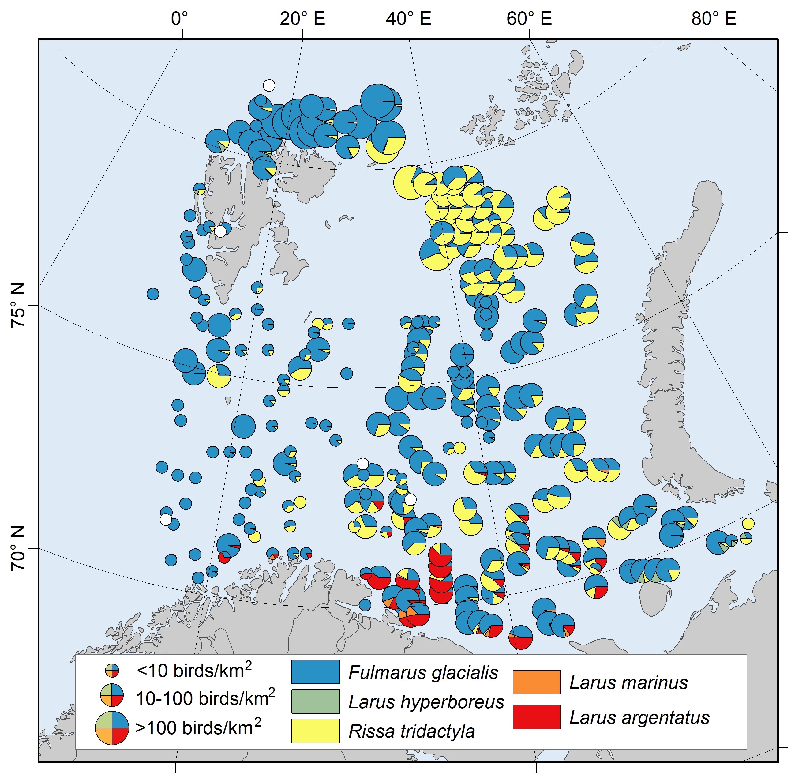 Figure 12.2.2. Density of the most common gull species and Northern fulmar along seabird transects in 2023. White-filled circles are zero density. Note that because these species are attracted to and tend to follow the ship, densities are systematically over-estimated.