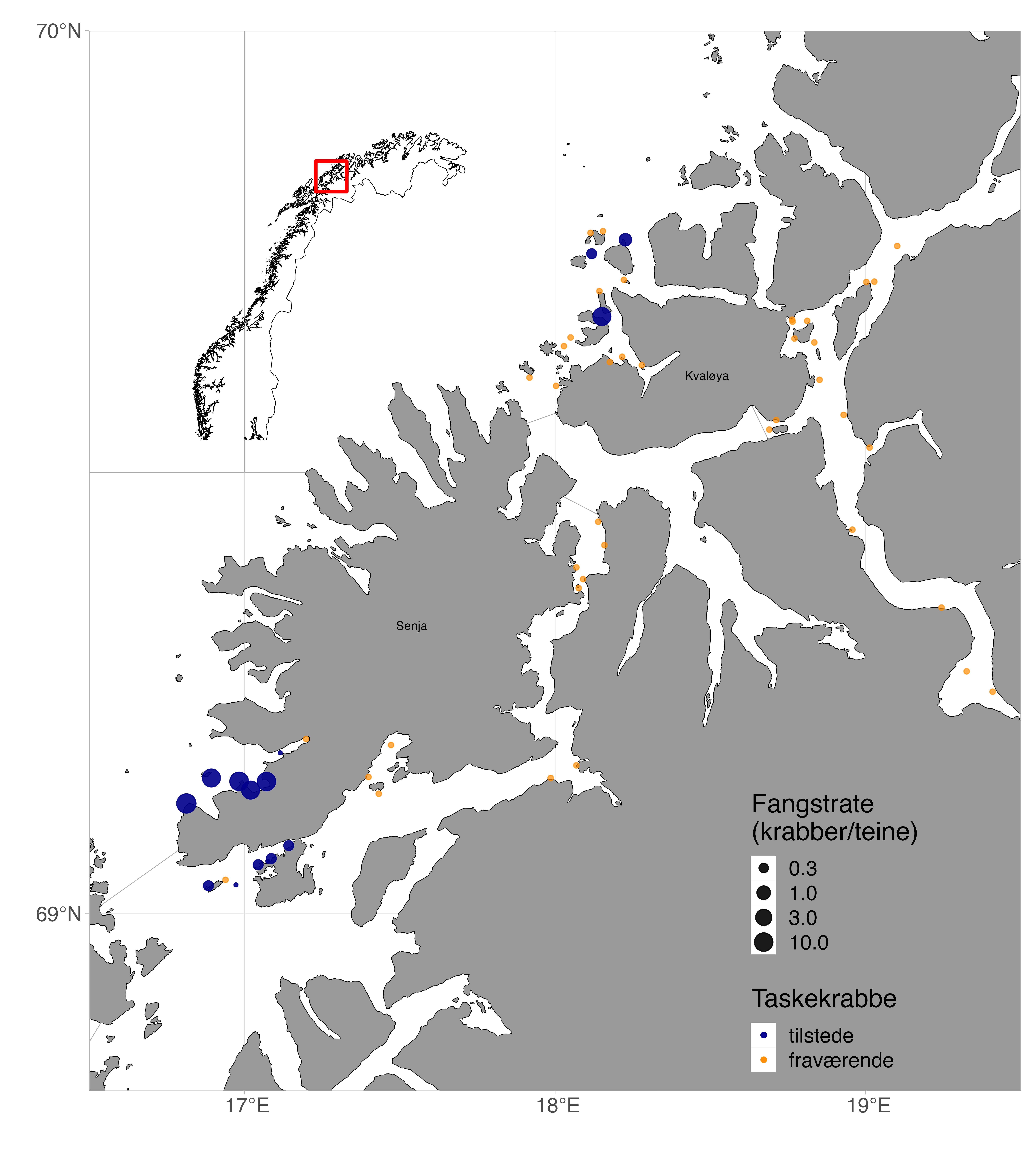 Oversikt over taskekrabbefangster fra toktet i 2023. Fargene indikerer tilstedeværelse og fravær av taskekrabbe, og størrelsen på sirklene indikerer antall krabber per teine. 