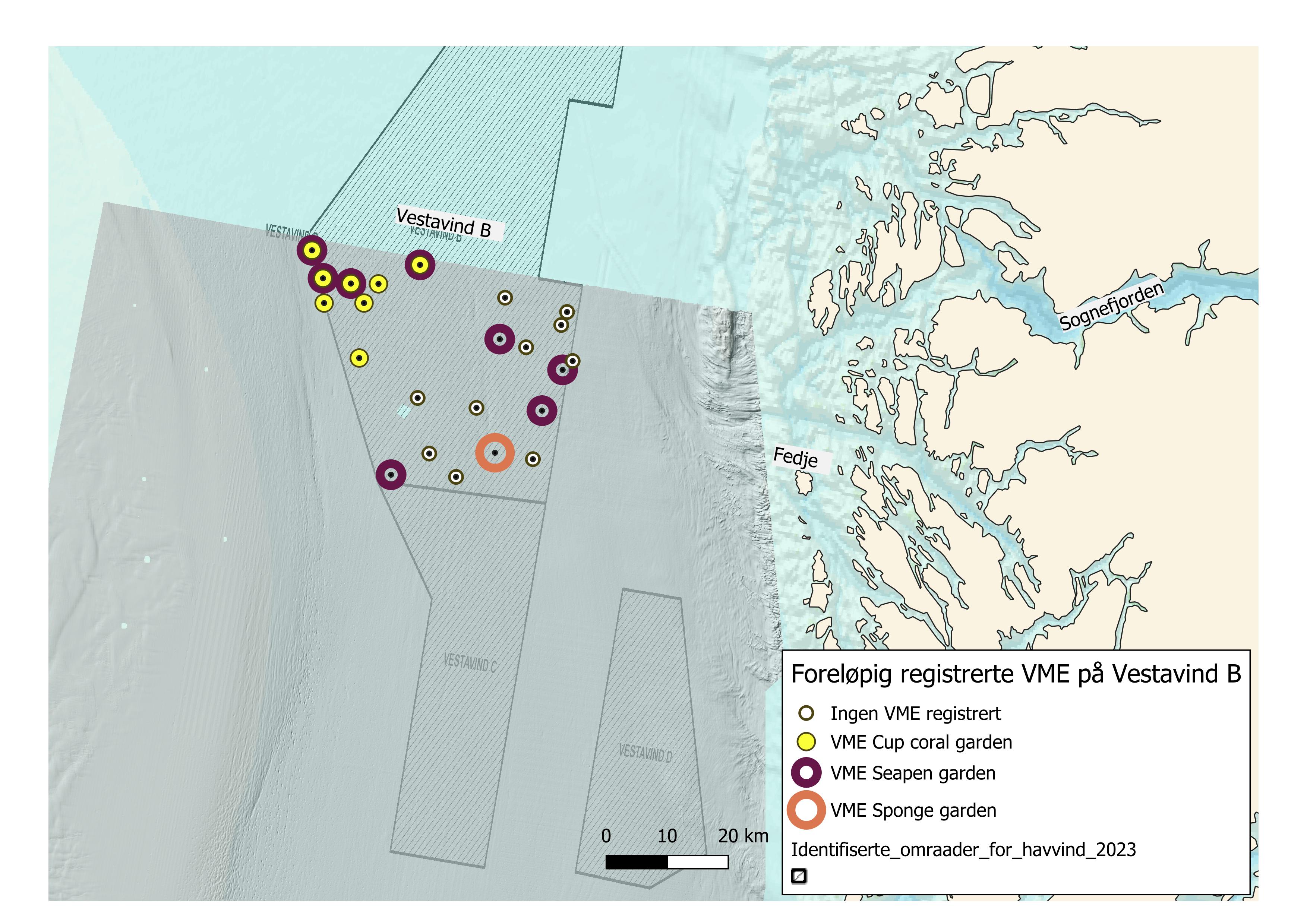 Stasjonsoversikt fra Vestavind B som viser foreløpige klassifiserte VME-områder.