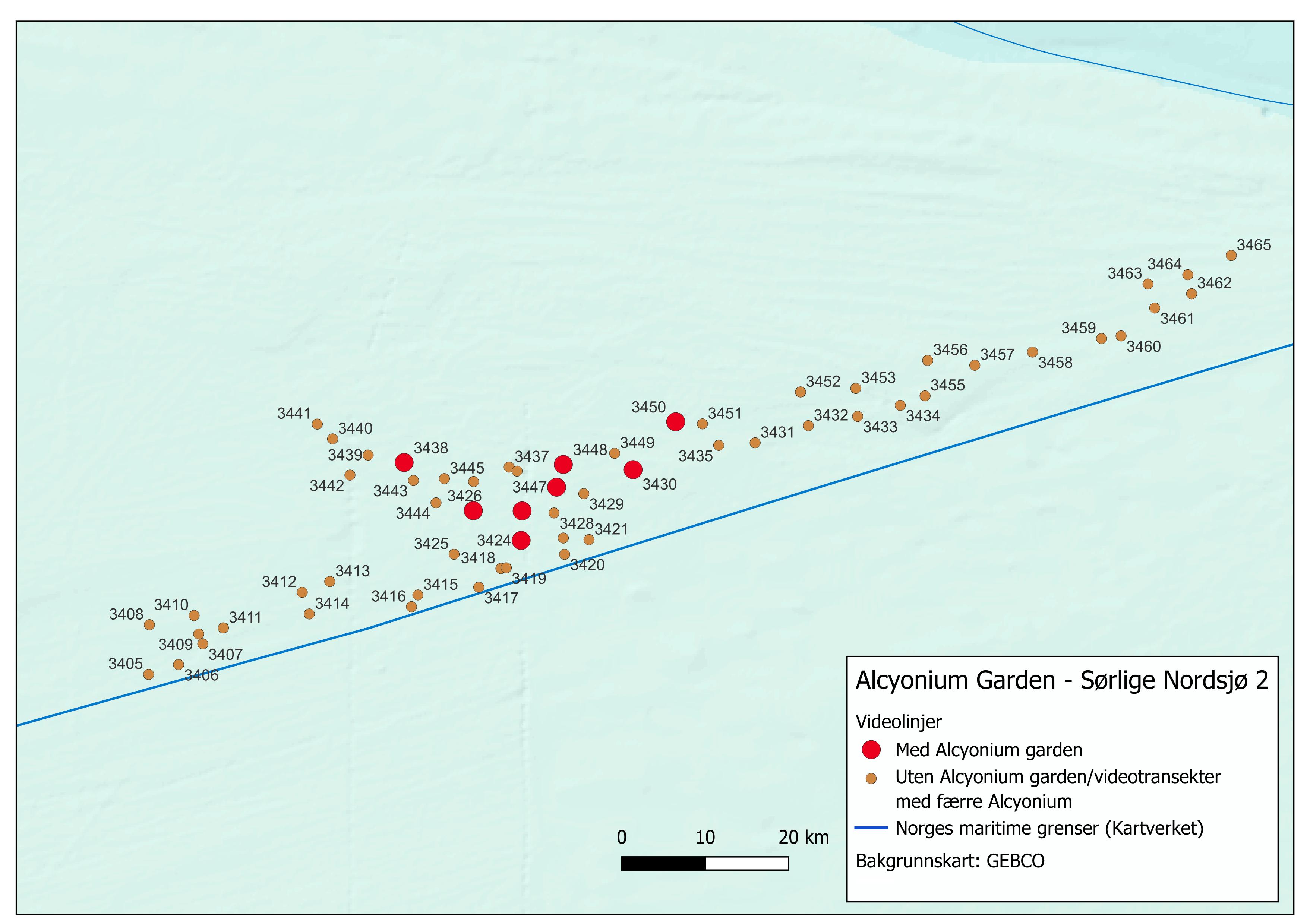 Oversikt over stasjoner der Alcyonium garden er definert ut i fra videotransektet. Totalt åtte stasjoner møter disse kriteriene.