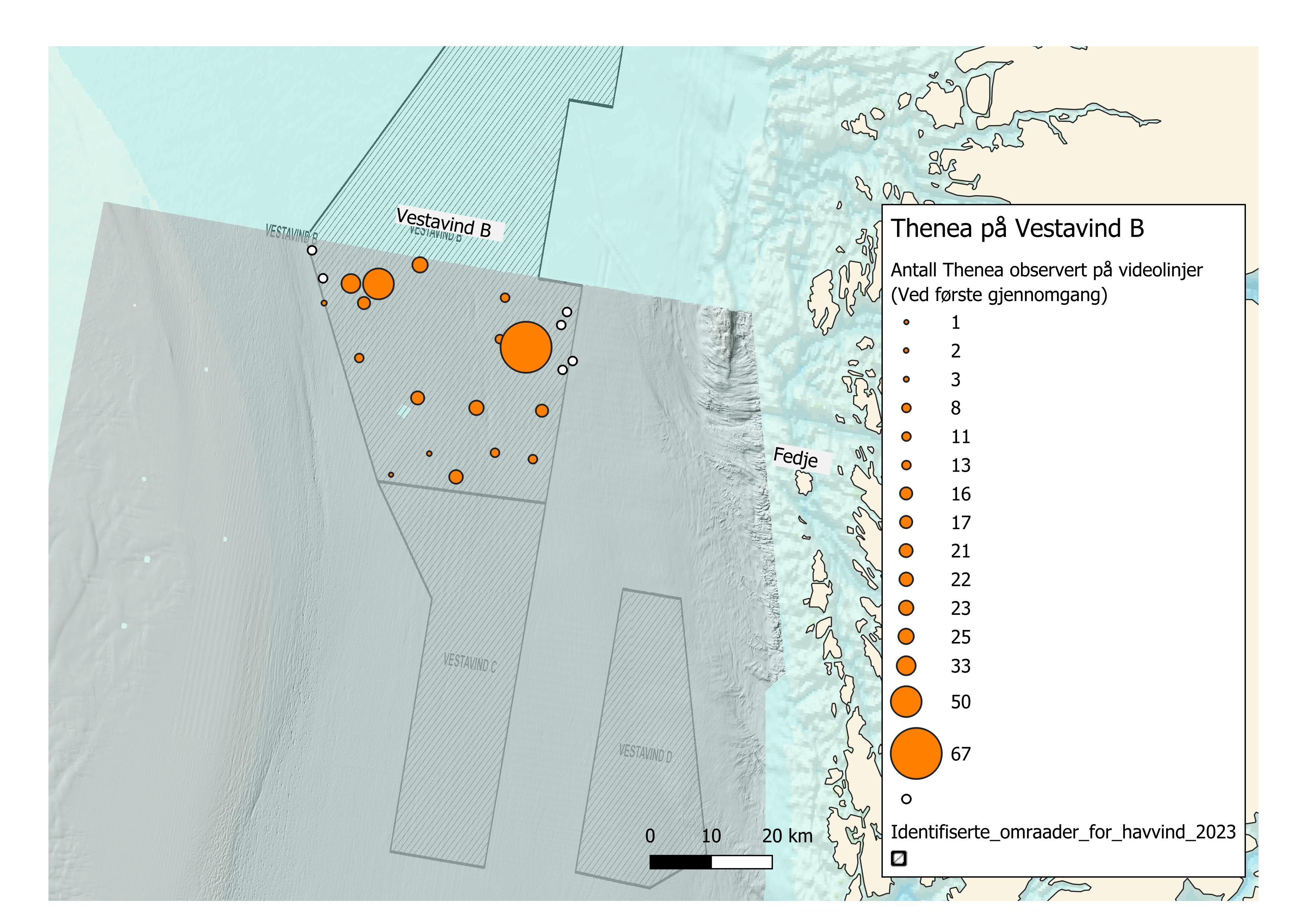Stasjonsoversikt som viser antall svamper av arten Thenea som ble registrert ved første gjennomgang av videomaterialet.