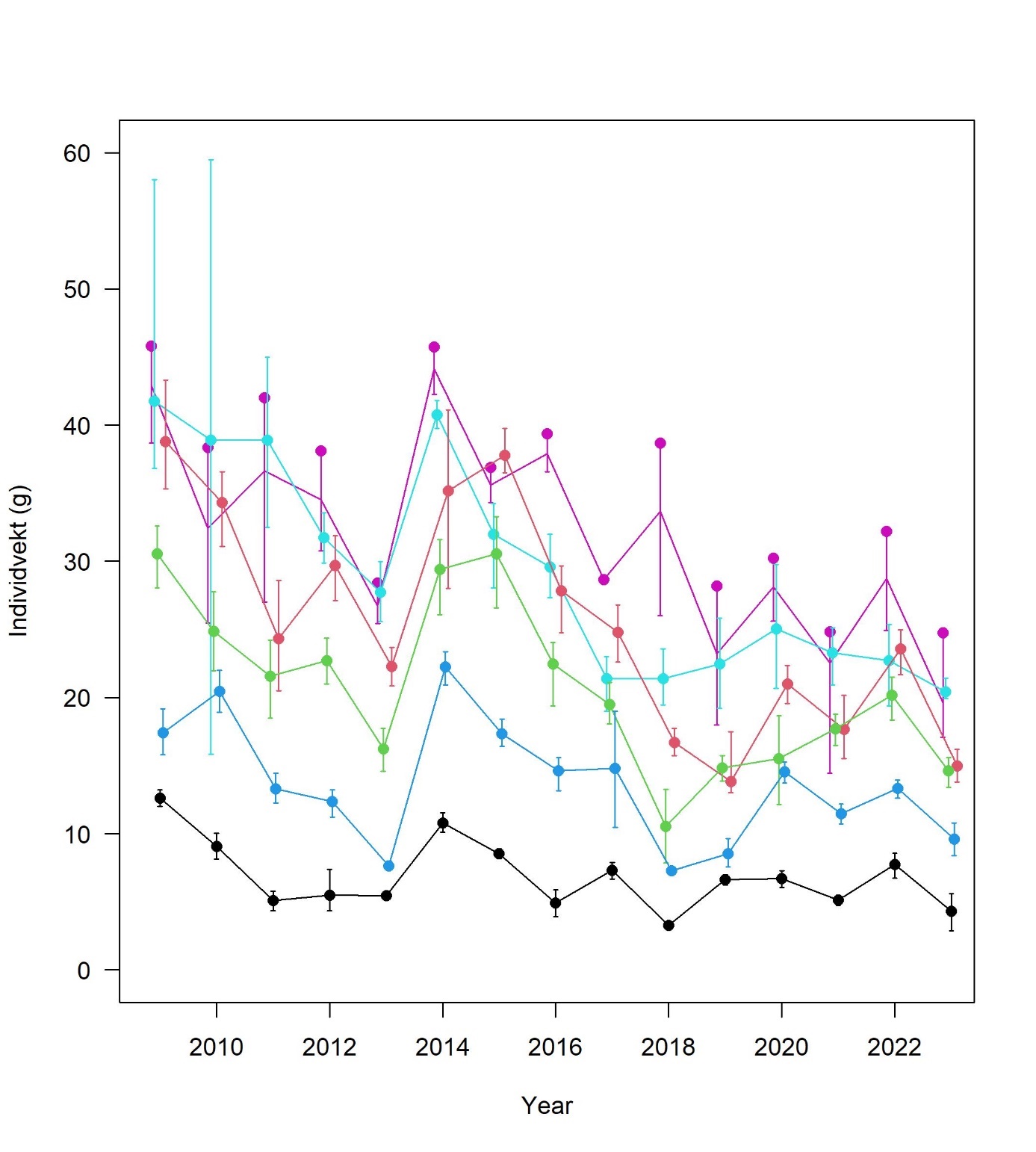 Figure 12  Individvekt (g) per alder per år for forvaltnings-områdene 1-4 i NØS (unntatt Nordgyden). 