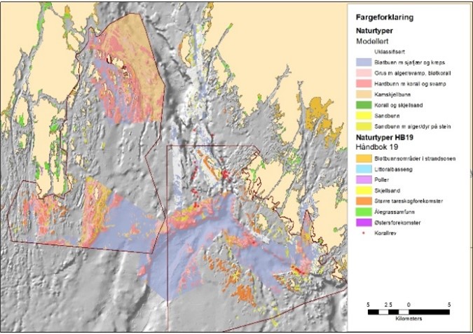Figuren viser et kart over ytre Oslofjord hvor de ulike naturtypene i bunnområdene har ulike fargekoder.