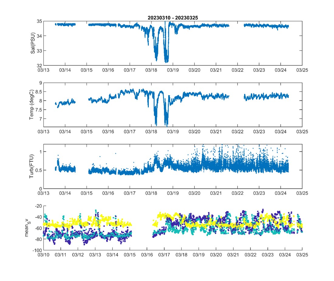 Figuren viser fire grafer under hverandre. Grafene har samme tidsskala på x-aksen, og viser en to-ukers periode i mars. Øverste grafe viser saltholdighet, andre grafe viser temperatur, tredje grafe viser turbiditet, og fjerde grafen viser backscatter. 