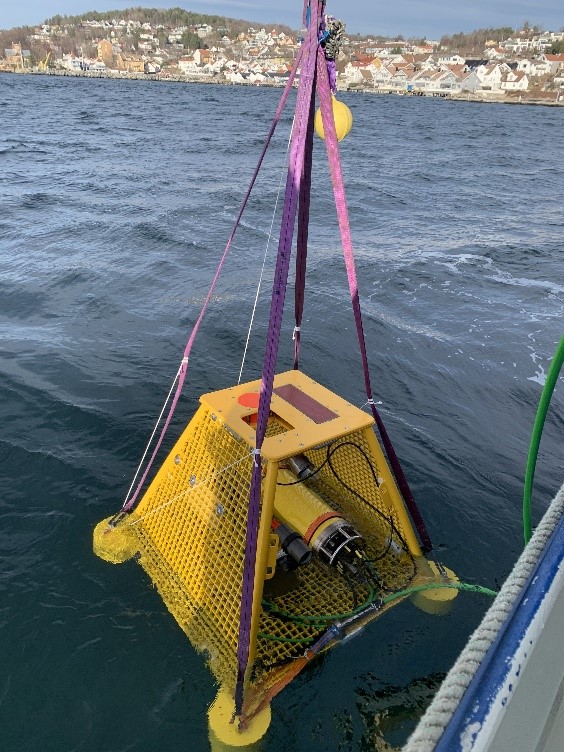 Bildet viser rombeformet, gul metallkonstruksjon som henger i stropper og er i ferd med å senkes ned i vannet fra en båt. 