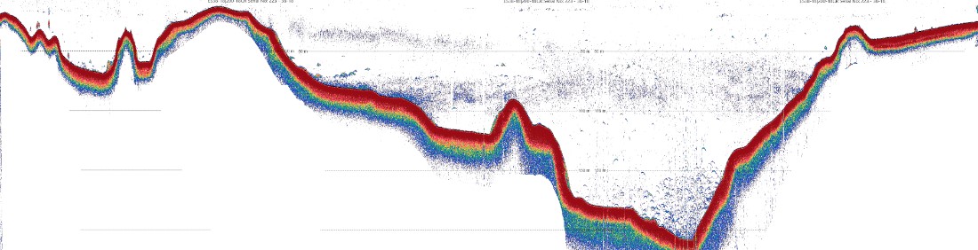 Figuren viser hvordan dybden varierer i et tverrsnitt mellom Horten og Moss. Det dypeste området ligger nærmere Moss enn Horten. Bunnen vises som kraftig rød farge mens skygger i de dypeste områdene indikerer fiskeforekomster.