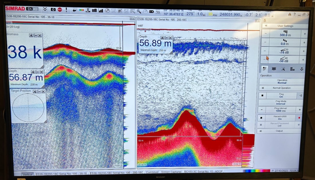 Skjermbilde fra ekkoloddet på skolebåten. Vi ser havbunnen, fiskestim og planktonlag som fargede felter. 