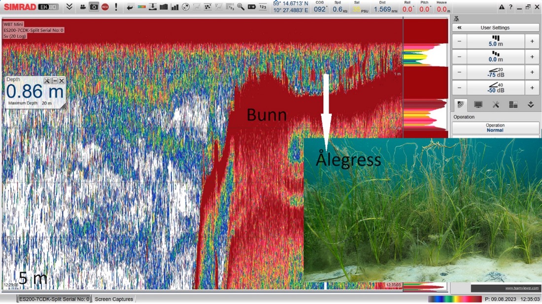 Bildet viser et ekkogram fra ekkoloddet på den selvgående farkosten "Ran". 