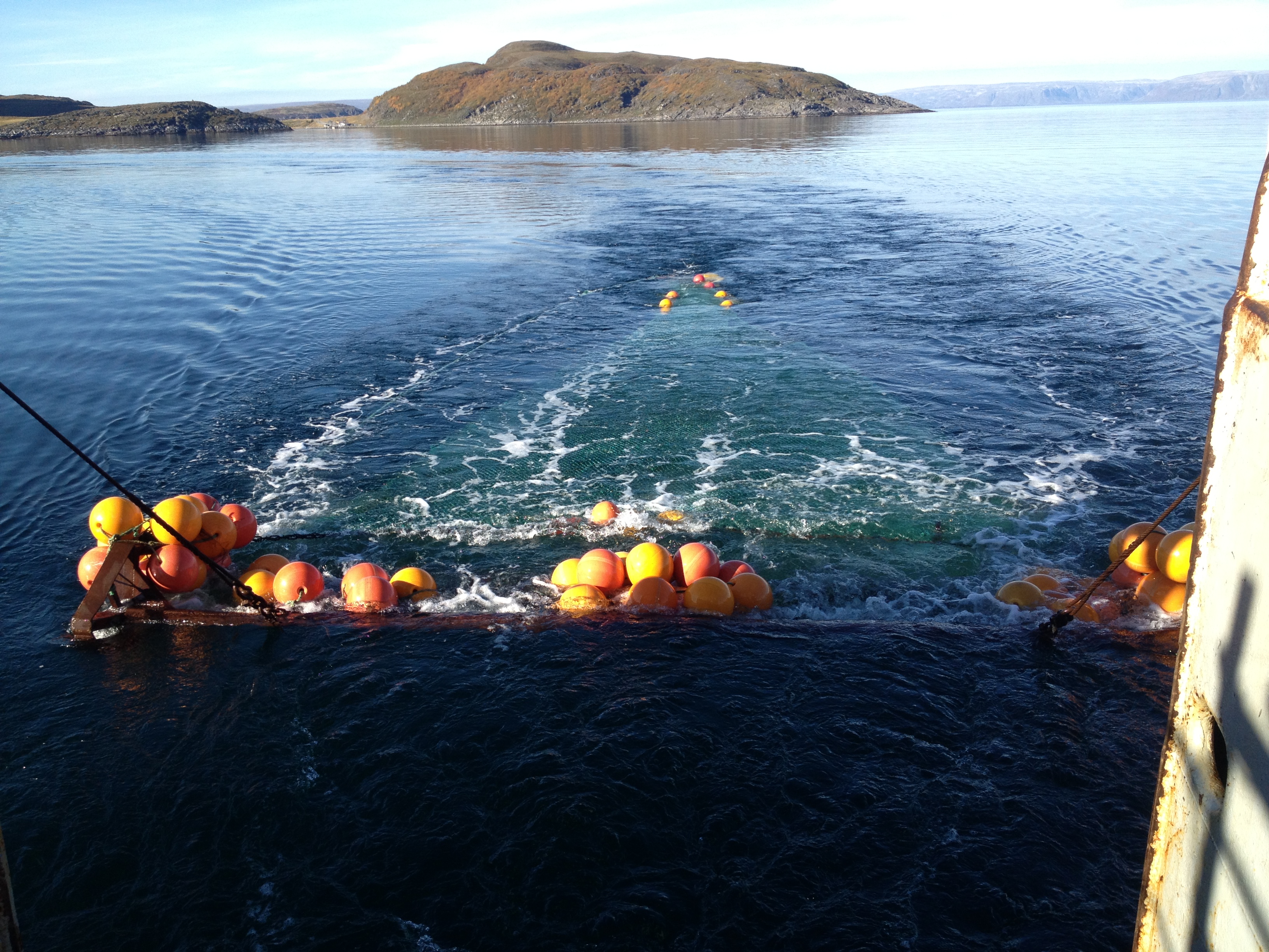Bildet viser Agassiz-trålen like i overflaten bak båten.