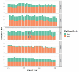 Figure 17. Number of fish present for day each day of May of the years 2019 – 2023. Shading indicates whether fish were classified as immature (Imm) or mature (Mat) at time of tagging.