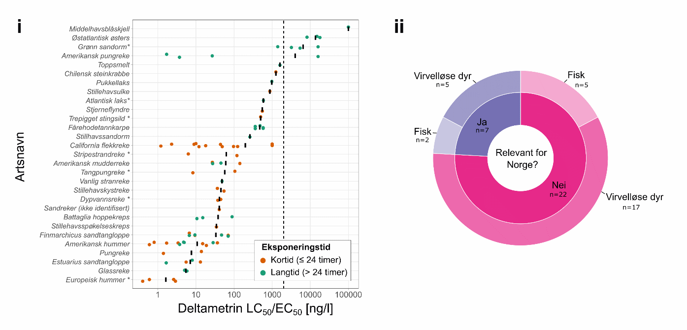 Figur 8.7. Akutt og kronisk marin toksisitetsdata for deltametrin. i) Plottet viser LC50/EC50-verdiene, basert på dødelighet som endepunkt, ved korttidseksponering (≤ 24 timer; sirkler farget i oransje) og langtidseksponering (> 24 timer; sirkler farget i grønt) for ulike marine arter. Artene er rangert i henhold til de gjennomsnittlige toksisitetsverdiene (merket med en solid svart linje). Hvis data ble uttrykt som større enn eller lik (≥), ble selve verdien plottet. De stiplede vertikale linjene representerer minimums- og maksimumskonsentrasjoner som anbefales for behandling av lakselus med deltametrin. * arter som finnes i Norge. ii) Smultringplottet viser antall (n) arter i datasettet som er relevante norske arter (blått felt) og andre (rødt felt) i dyregruppene som er representert.