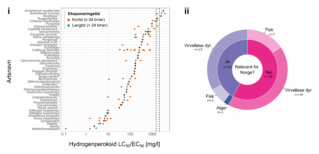 Figur 8.3. Akutt og kronisk marin toksisitetsdata for hydrogenperoksid. i) Plottet viser LC50/EC50-verdiene, basert på dødelighet som endepunkt, ved korttidseksponering (≤ 24 timer; sirkler farget i oransje) og langtidseksponering (> 24 timer; sirkler farget i grønt) for ulike marine arter. Artene er rangert i henhold til de gjennomsnittlige toksisitetsverdiene (merket med en solid svart linje). Hvis data ble uttrykt som større enn eller lik (≥), ble selve verdien plottet. De stiplede vertikale linjene representerer minimums- og maksimumskonsentrasjoner som anbefales for behandling av lakselus med hydrogenperoksid. * arter som finnes i Norge. ii) Smultringplottet viser antall (n) arter i datasettet som er relevante norske arter (blått felt) og andre (rødt felt) i dyregruppene som er representert.