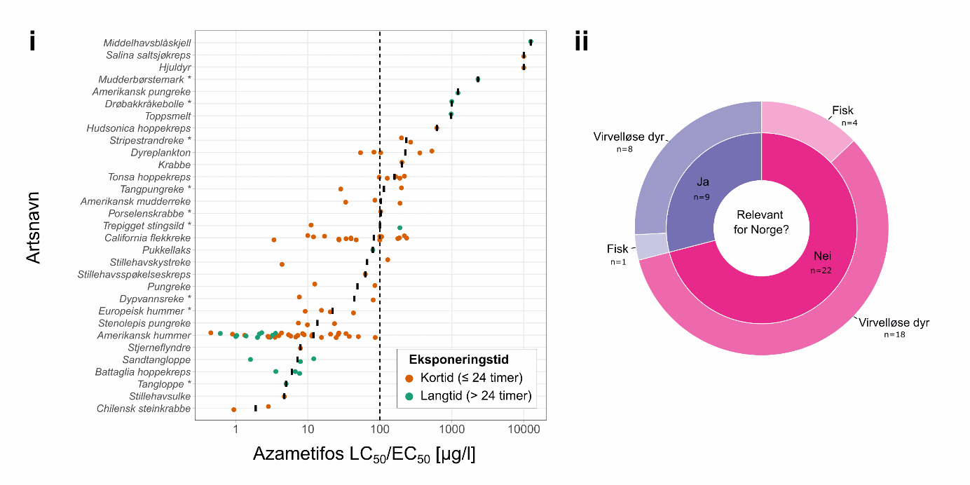 Figur 8.5. Akutt og kronisk marin toksisitetsdata for azametifos. i) Plottet viser LC50/EC50-verdiene, basert på dødelighet som endepunkt, ved korttidseksponering (≤ 24 timer; sirkler farget i oransje) og langtidseksponering (> 24 timer; sirkler farget i grønt) for ulike marine arter. Artene er rangert i henhold til de gjennomsnittlige toksisitetsverdiene (merket med en solid svart linje). Hvis data ble uttrykt som større enn eller lik (≥), ble selve verdien plottet. De stiplede vertikale linjene representerer minimums- og maksimumskonsentrasjoner som anbefales for behandling av lakselus med azametifos. * arter som finnes i Norge. ii) Smultringplottet viser antall (n) arter i datasettet som er relevante norske arter (blått felt) og andre (rødt felt) i dyregruppene som er representert.