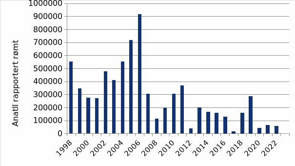 Søylediagram som viser utviklingen i antall oppdrettslaks rapportert rømt
