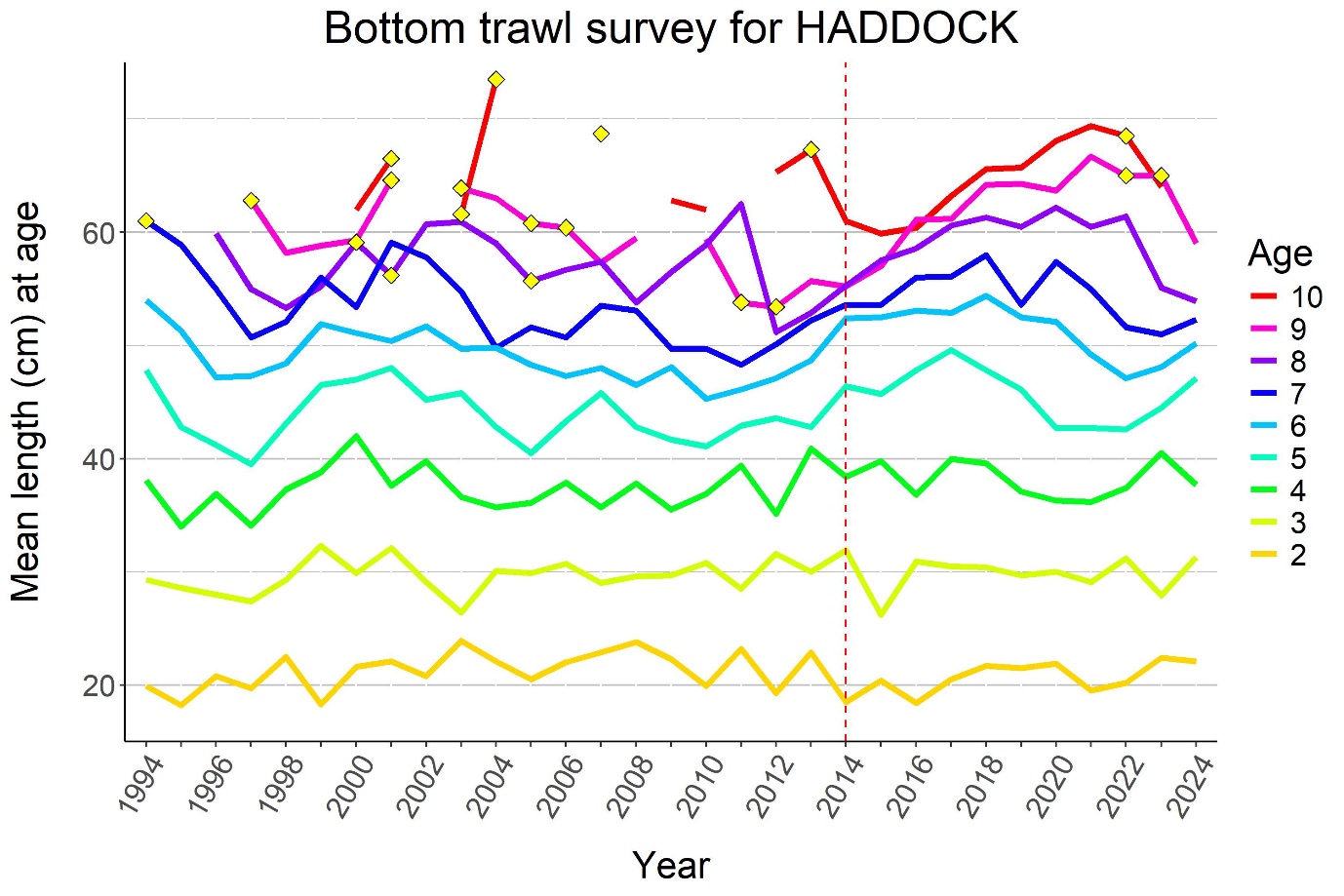 Figure 6.9 . HADDOCK, mean length (cm) by age 1994-2024. Yellow diamonds indicate ages with < 5 individuals sampled.