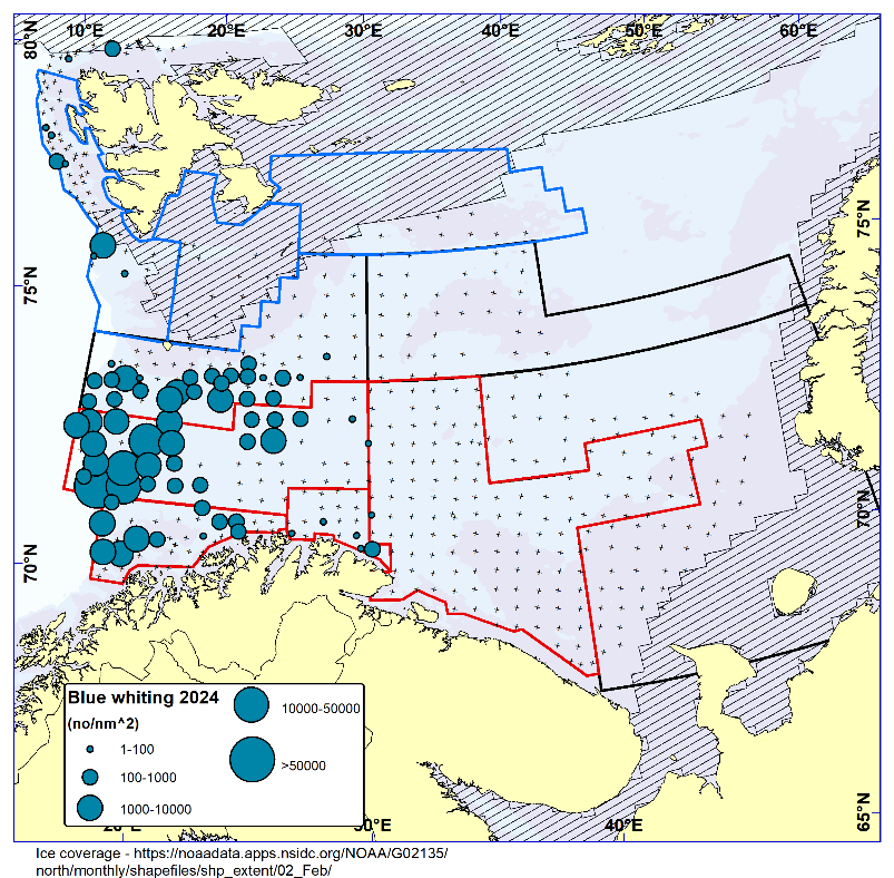 Figure 9.3.1 BLUE WHITING. Distribution in the trawl catches winter 2024 (number per nm 2 ). Black crosses indicate zero catches and the shaded area the ice coverage early in the survey.