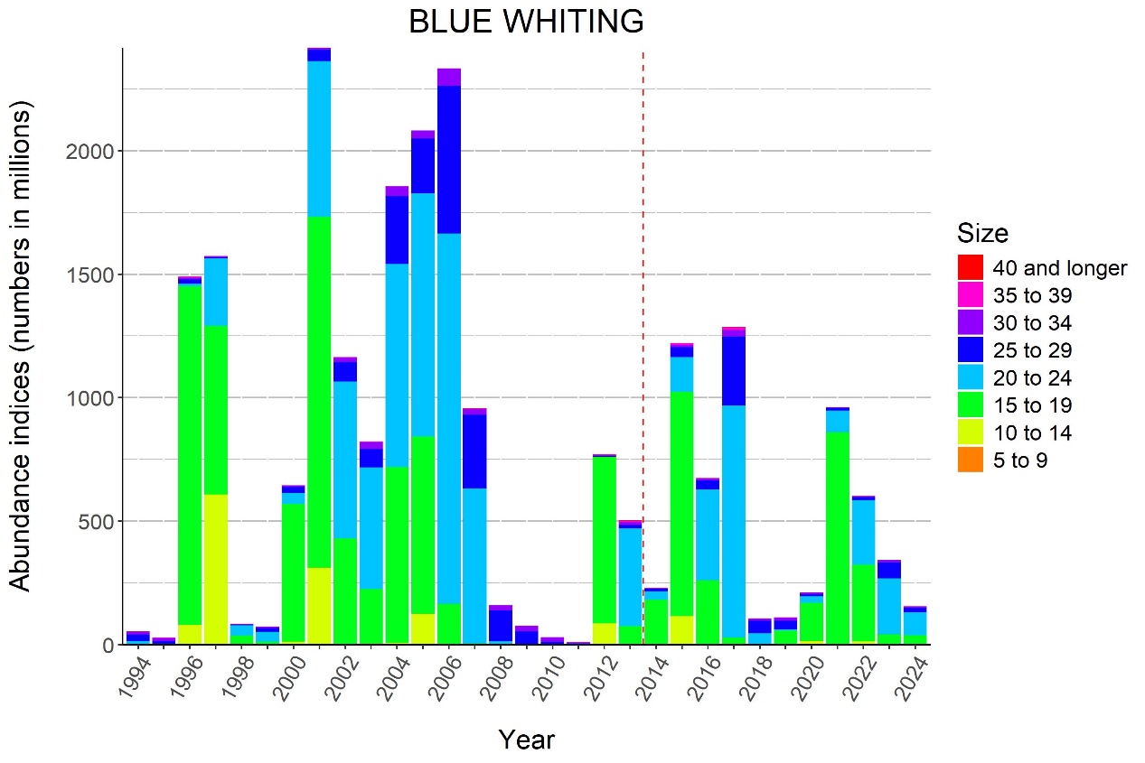 Figure 9.3.2 BLUE WHITING. Time series of total bottom trawl abundance at age for blue whiting (1994-2024). The dotted line separates the periods before and after the survey area was extended to include also area N.