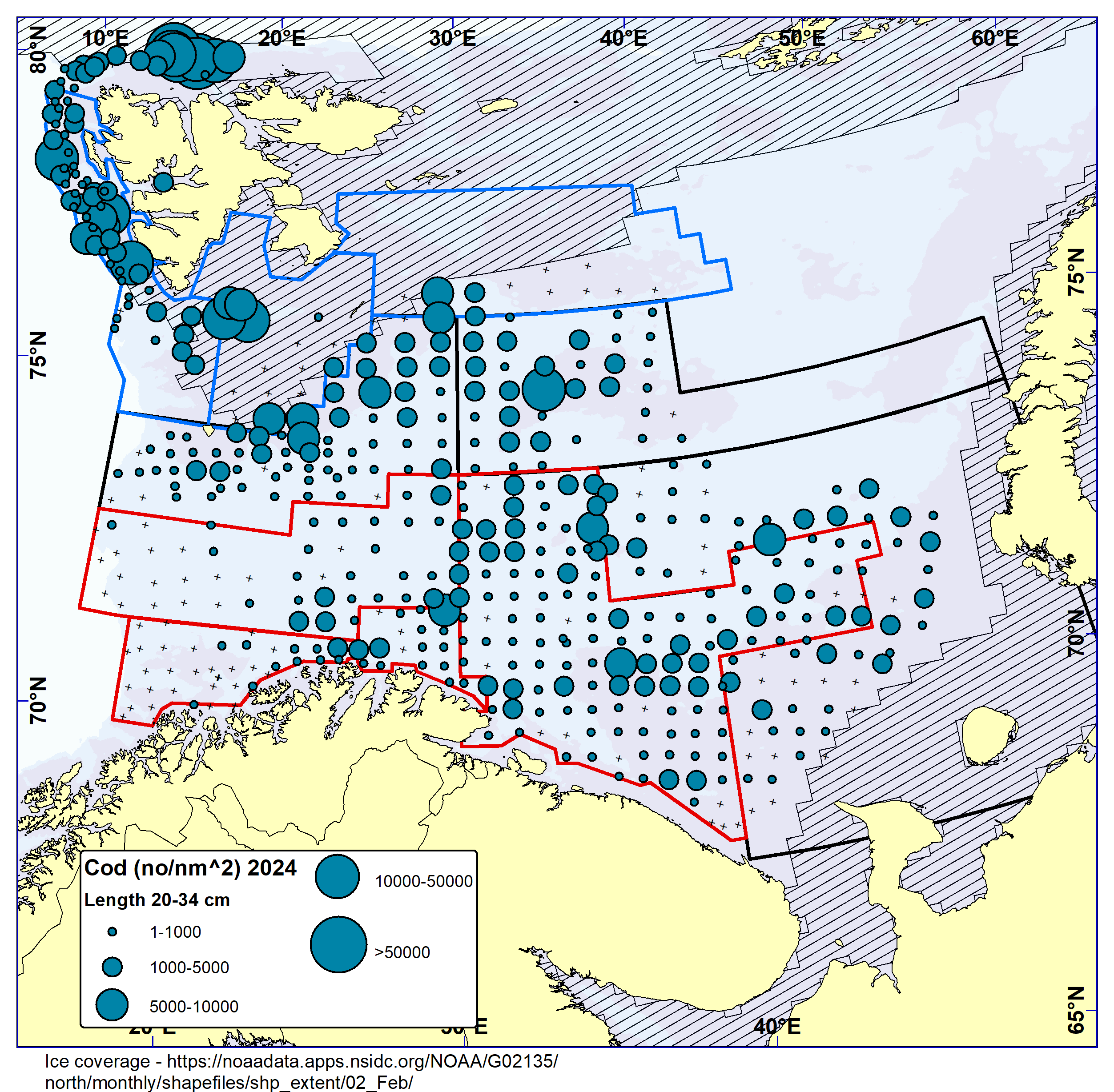 Figure 5.4. COD 20-34 cm. Distribution in valid bottom trawl catches winter 2024 (number per nm2 ). Black crosses indicate zero catches and the shaded area the ice coverage early in the survey.