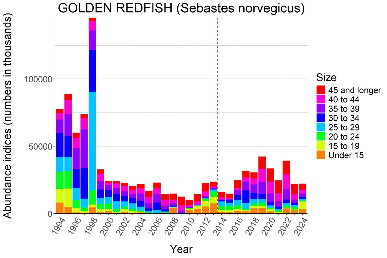 Figure 7.2. GOLDEN REDFISH (Sebastes norvegicus) . Abundance indices (numbers in thousands) from bottom trawl surveys in the Barents Sea standard area winter 1994-2024 .