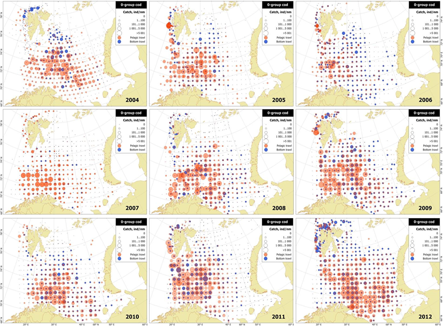0-group catches of cod taken by pelagic (red) and bottom (blue) trawl in 2005-2012.