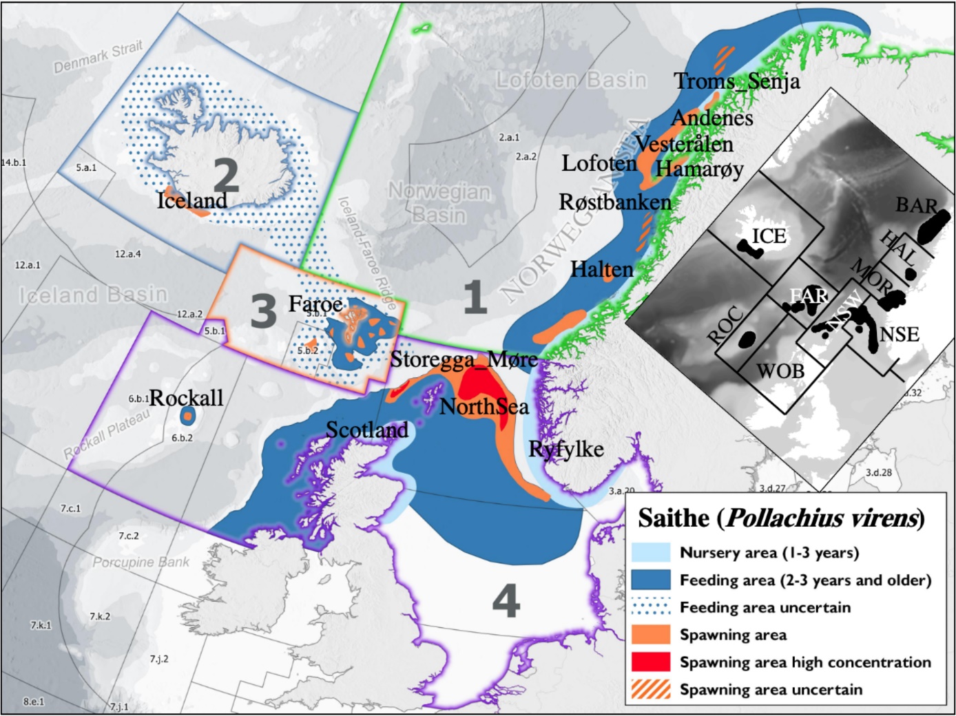 Figur 2: Kartet viser som eksempel et forhold mellom ulike funksjonsområder for sei på en stor skala  (Myksvoll mfl . 2021) . Gytefelter i Nordsjøen leverer yngel inn mot kysten der fisk kan vokse opp. Videre finnes de samme systemene inne på kysten i innelukkede områder (f.eks. fjorder) der det både finnes gytefelter for stasjonære bestander og tilsvarende oppvekstområder på en mindre skala. CE (Island), ROC (Rockall), WOB (Vest av britiske øyer), FAR (Færøyene), NSW (Nordsjøen vest), NSE (Nordsjøen øst), MOR (Møre), HAL (Halten), BAR (Barentshavet).