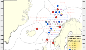 IESSNS SAL Mlength (cm)  July August 2018 cr
