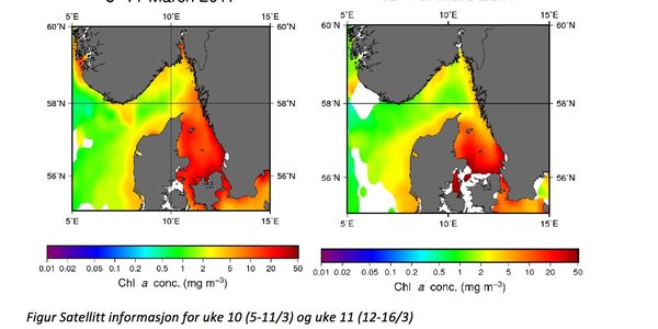 

kart algeoppblomstring