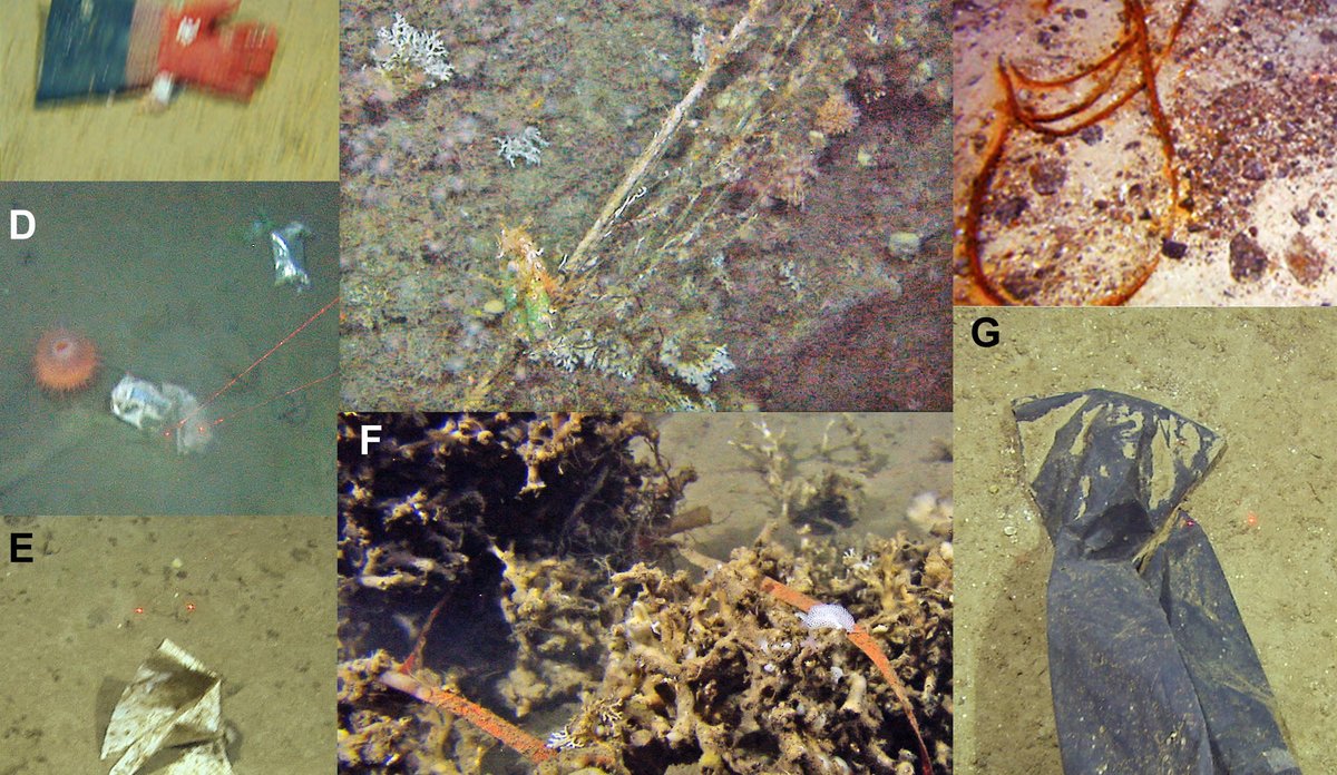 
Kolasj av bilder som viser søppel på havbunnen: hansker, poser, fiskeutstyr.