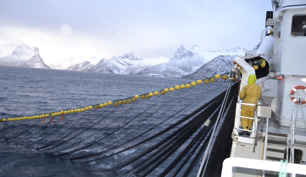 
Sildefiske utenfor Senja