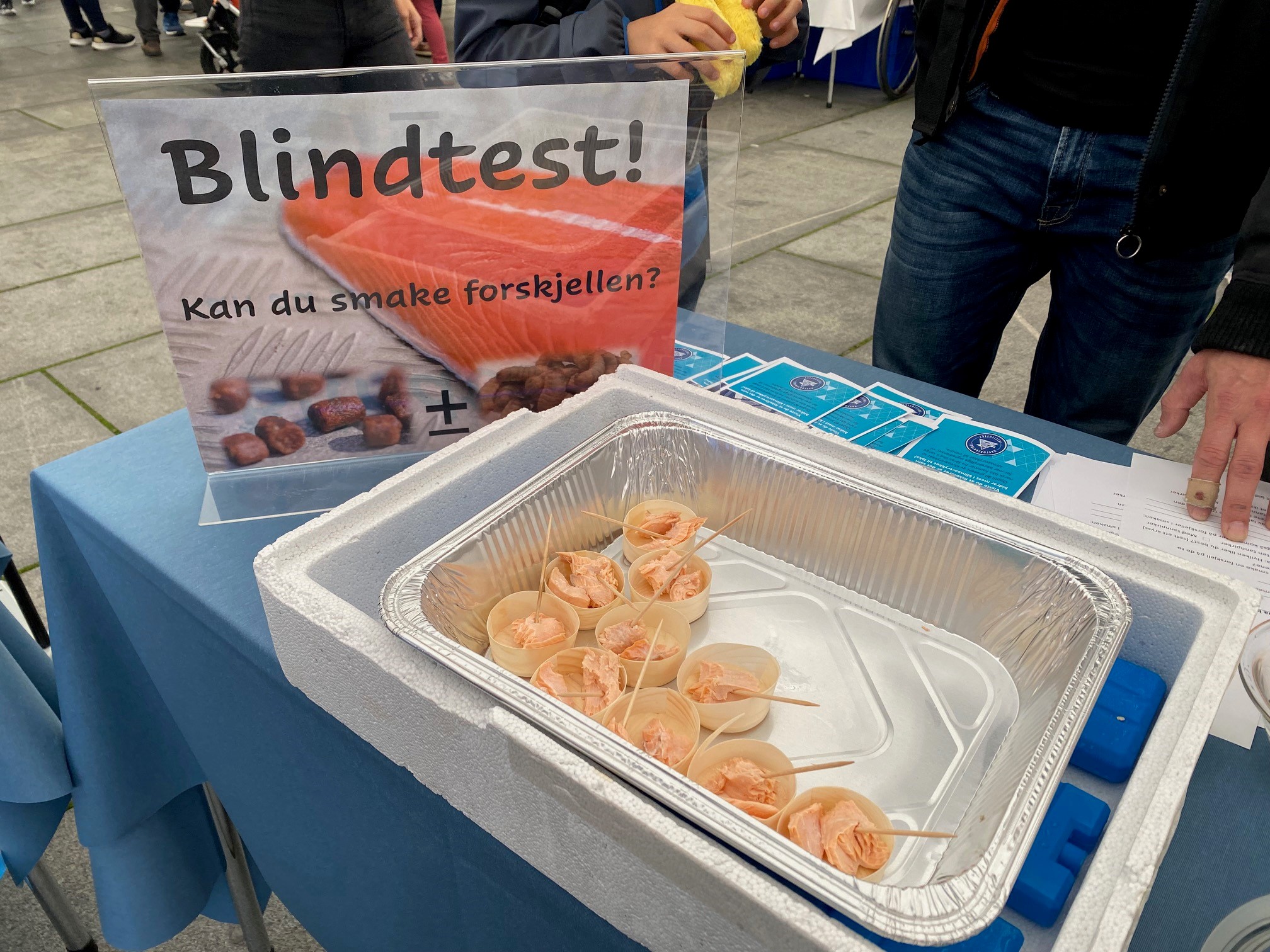 laks forskningstorget