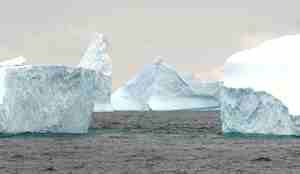 Foto av flere isfjell ved Sør-Orknøyene.