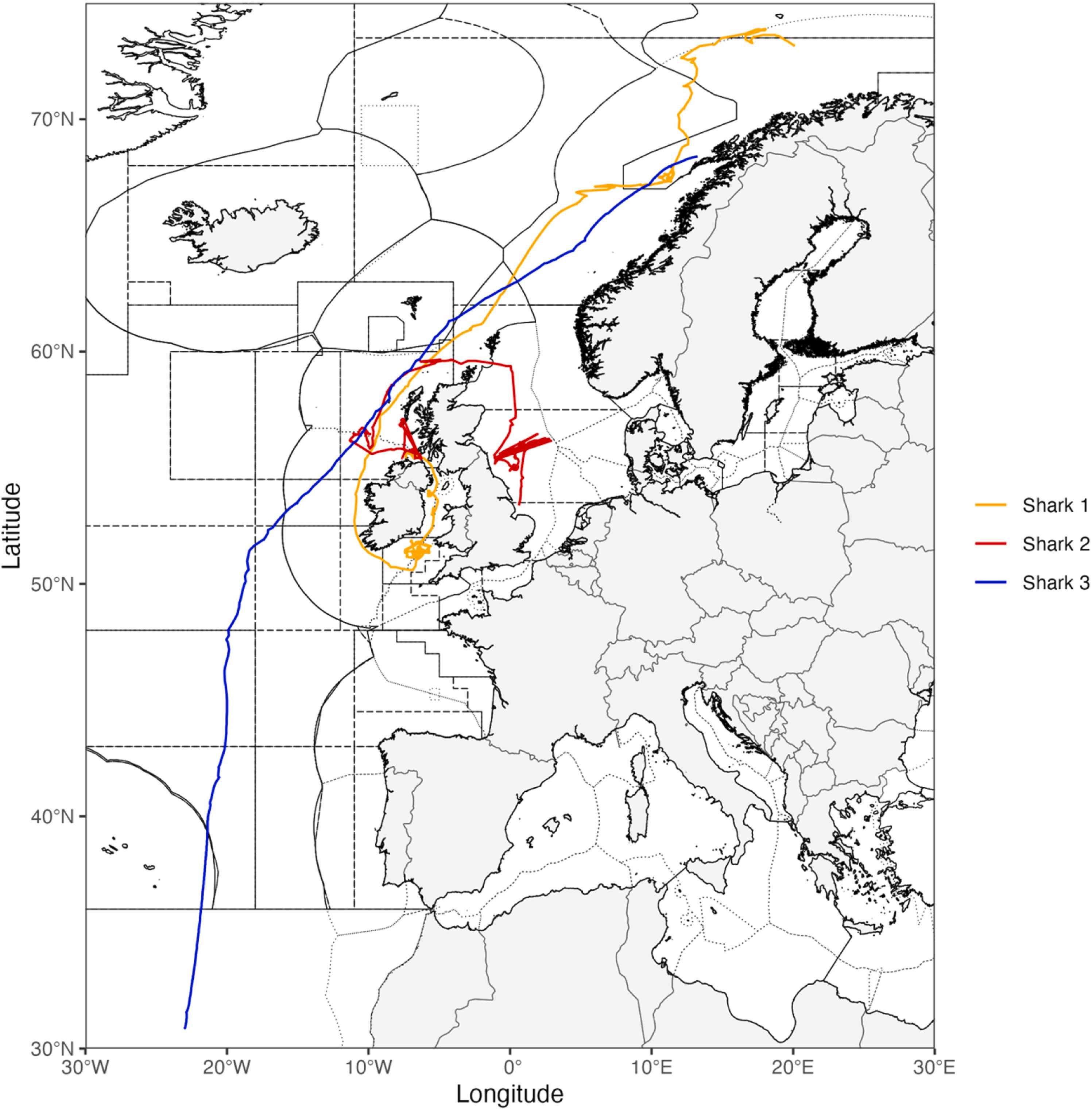 Kart som viser vandringene til de tre haiene.