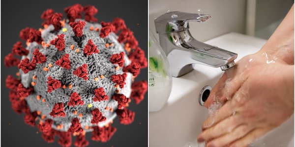 

koronakollasj article