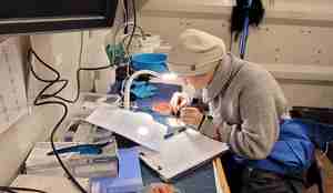 Forsker med varme klær og lue som undersøker krill på laben om bord.