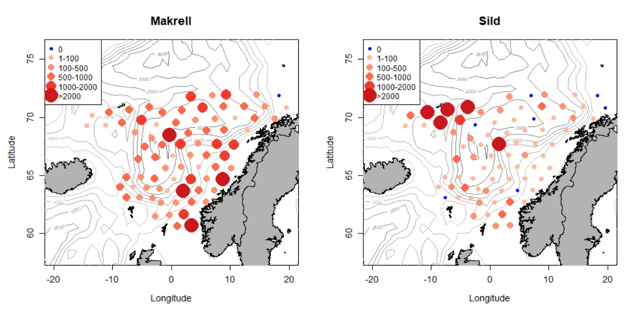 grafe over makrell- og sildefangster